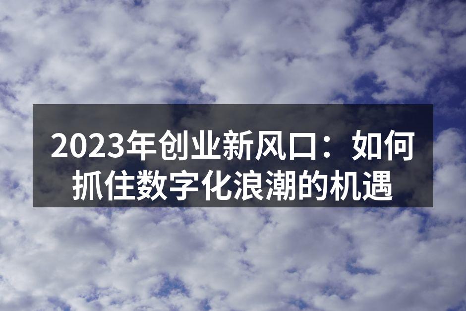 2023年创业新风口：如何抓住数字化浪潮的机遇